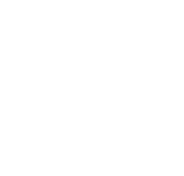 Primary Raster logo